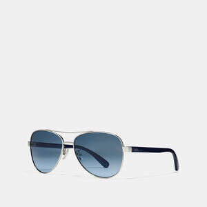 Horse And Carriage Pilot Sunglasses